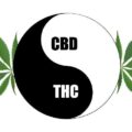 cbd&thc